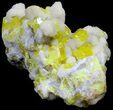Sulfur Crystals on Aragonite - Italy #39017-3